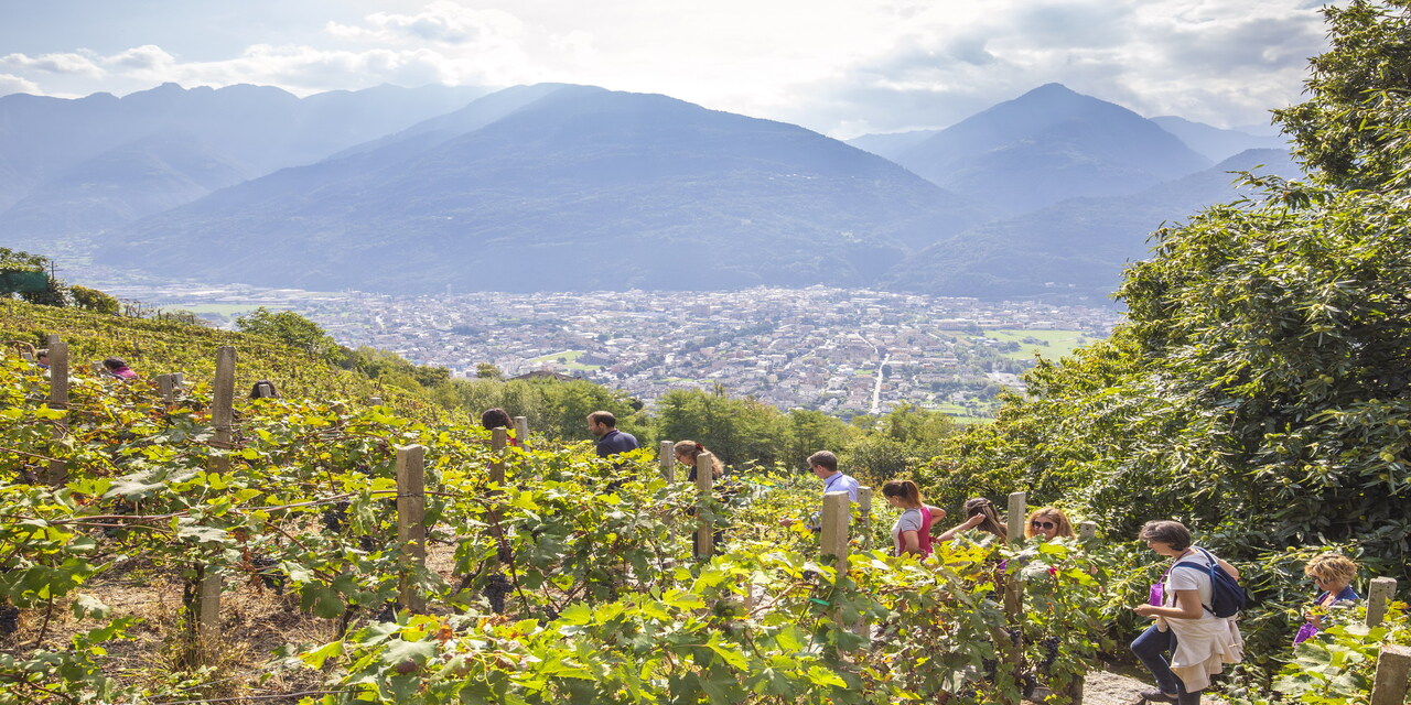 ✨Giro d'Italia 2025 - Exclusive✨ - photo by AP, AFP, DPA, Reuters, Kyodo, Yonhap Copyright © Giro d'Italia · 2025 · cycle