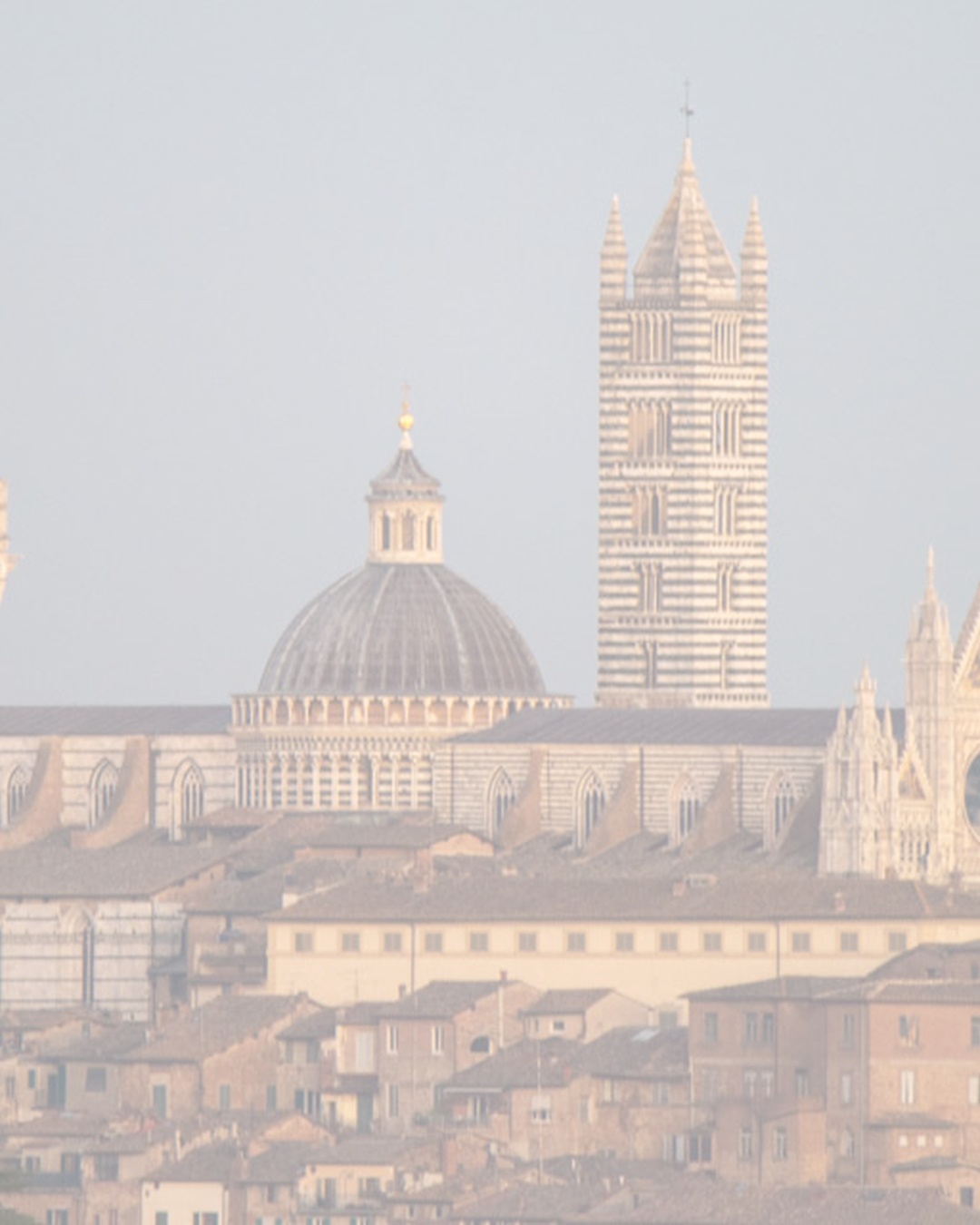 QUIZ STRADE BIANCHE